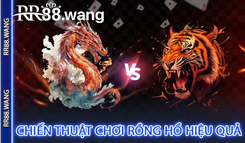 Chiến thuật chơi Rồng Hổ hiệu quả tại RR88
